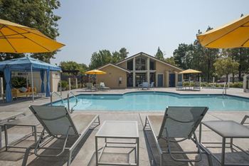 Pool with lounge chairs l The Edge Apartments in Davis, CA